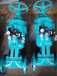 DIN pneumatic WCB diaphragm valve